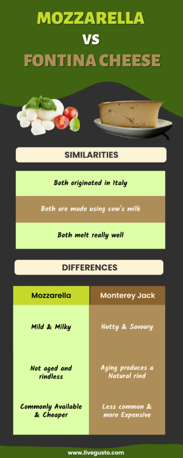 mozzarella vs fontina cheese