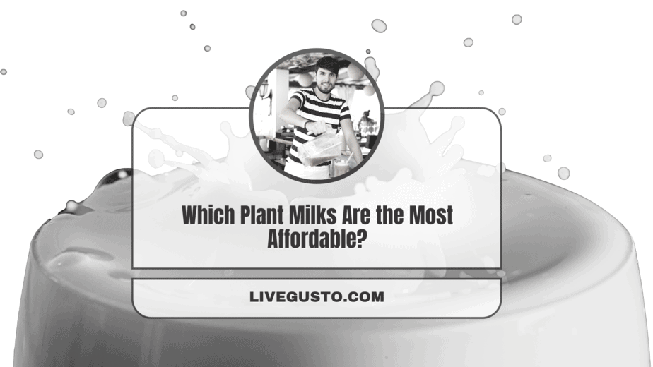 Cheapest Plant Milk to Make 9 Frugal Options