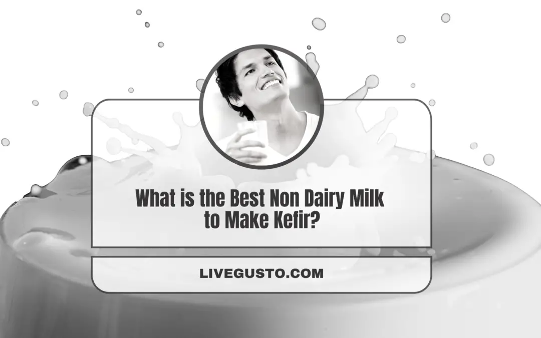 Finding the Best Plant Based Milk for Making Kefir