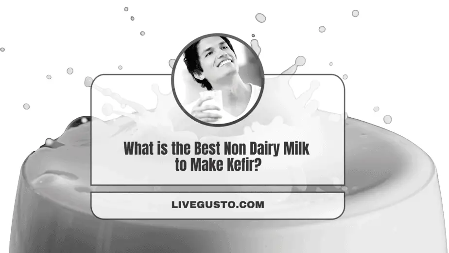 What is the Best Non Dairy Milk to Make Kefir?