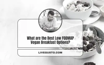 What Are the Best Low FODMAP Breakfast Options Available for Vegans?