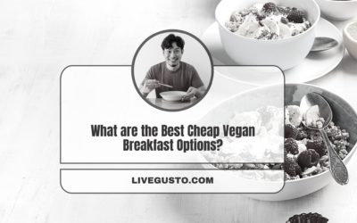 Are You in Search of Some Budget Friendly Plant Based Breakfast Options?