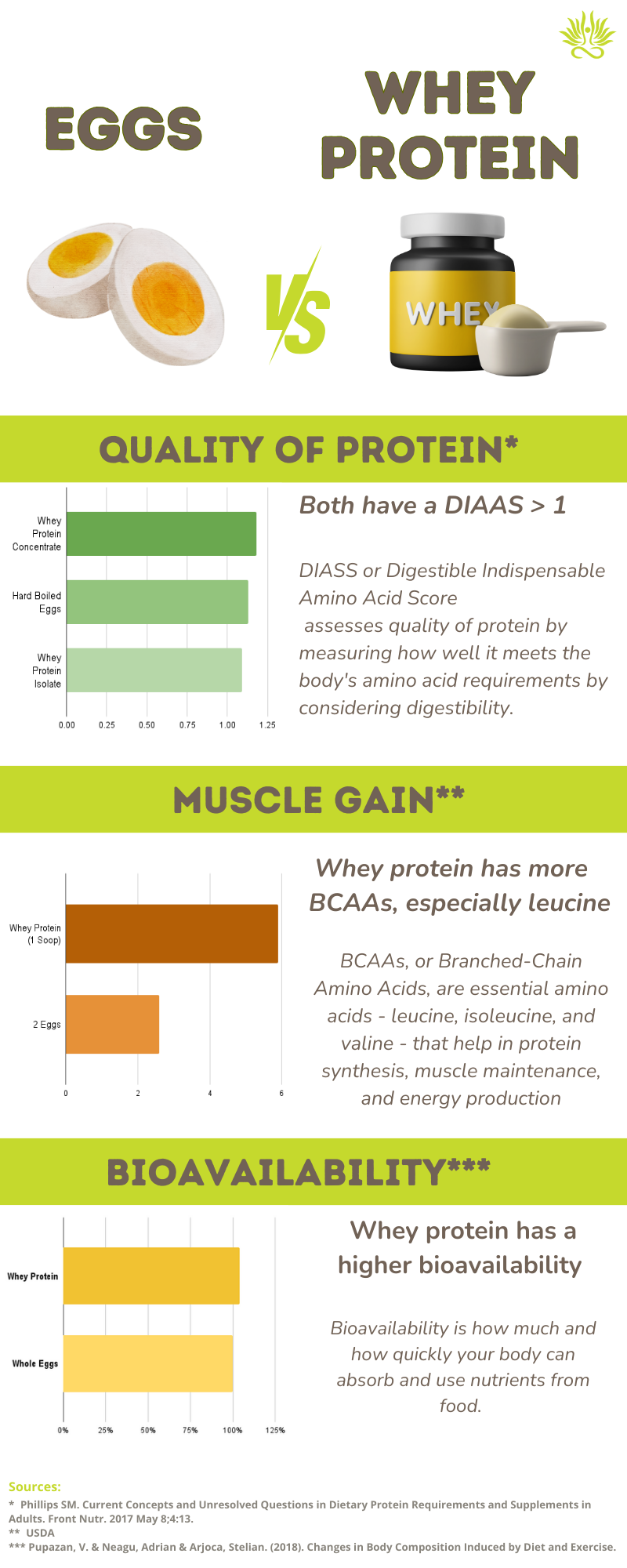 Eggs vs whey protein - bioavailability, muscle gain and quality of protein