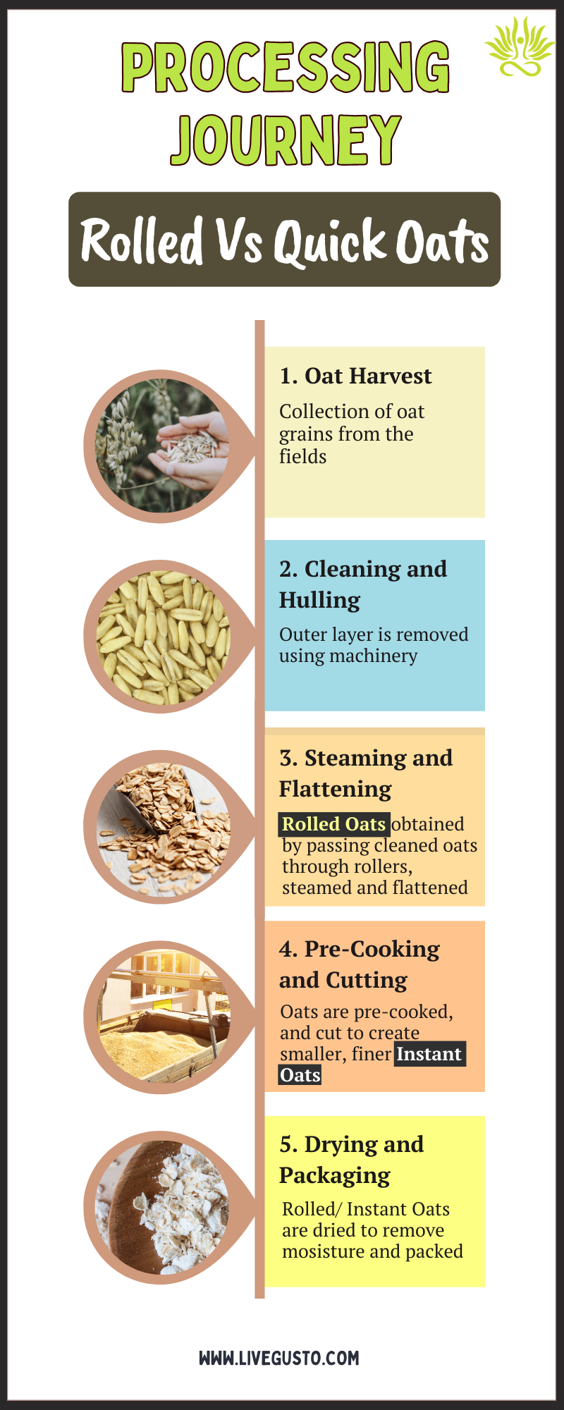 Processing Journey, Rolled Vs Quick Oats